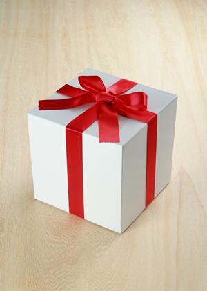 着物初心者にもおすすめの小紋について